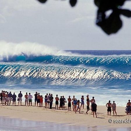 Villa Pristine Location In Turtle Bay Near Beach Kahuku Exterior foto