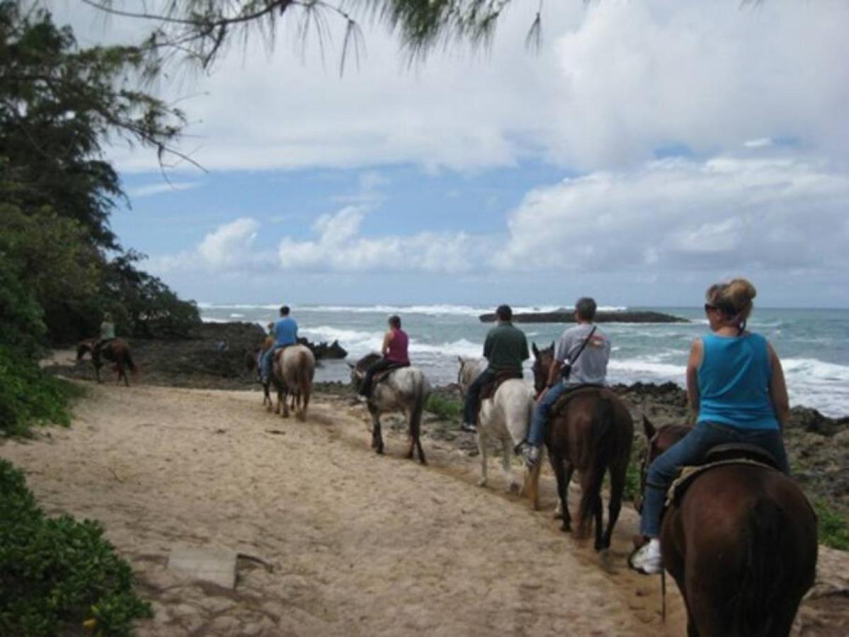 Villa Pristine Location In Turtle Bay Near Beach Kahuku Exterior foto